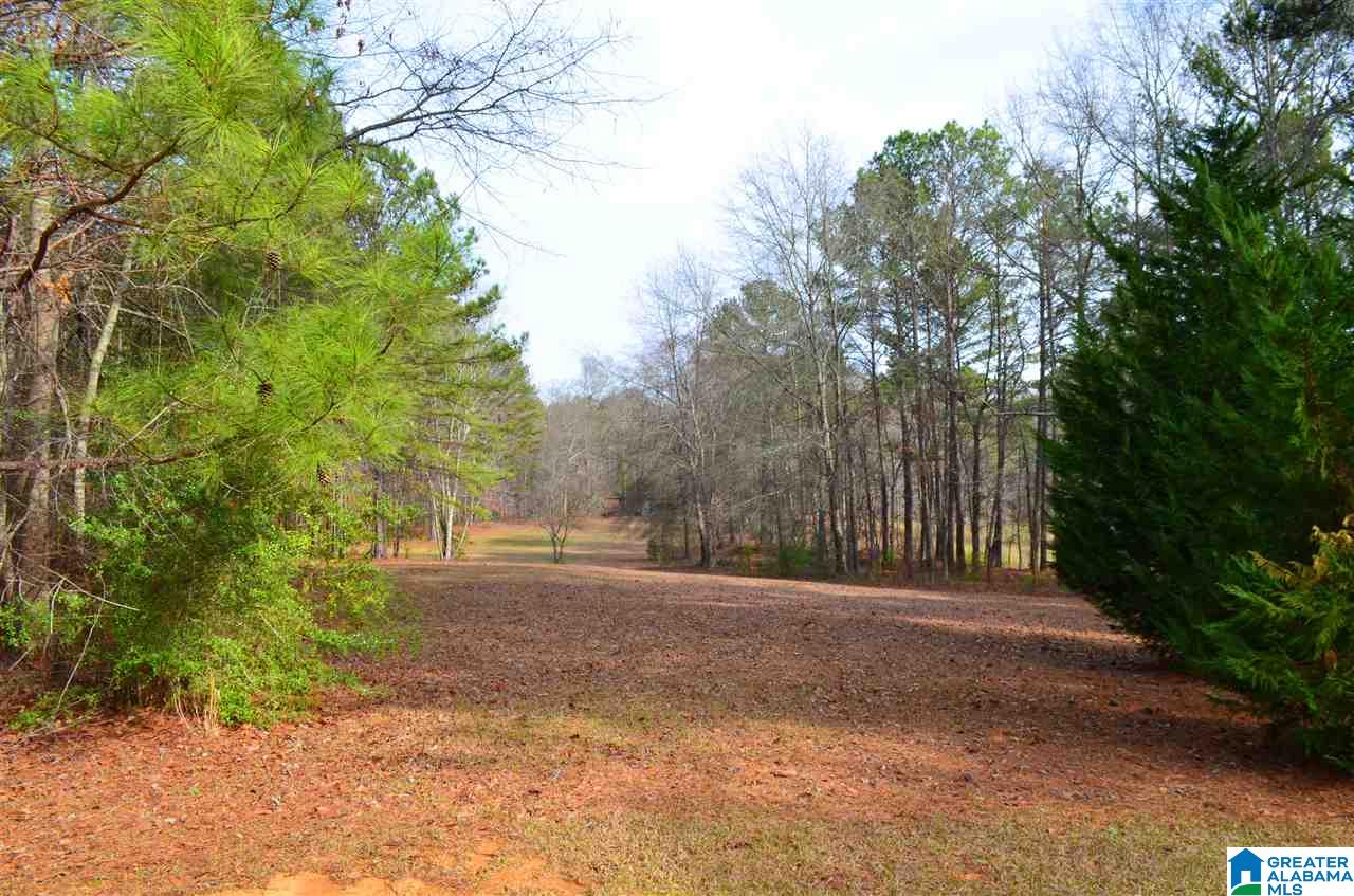 10 Spring Branch Road Columbiana, AL 35051 - Photo 39 of 49