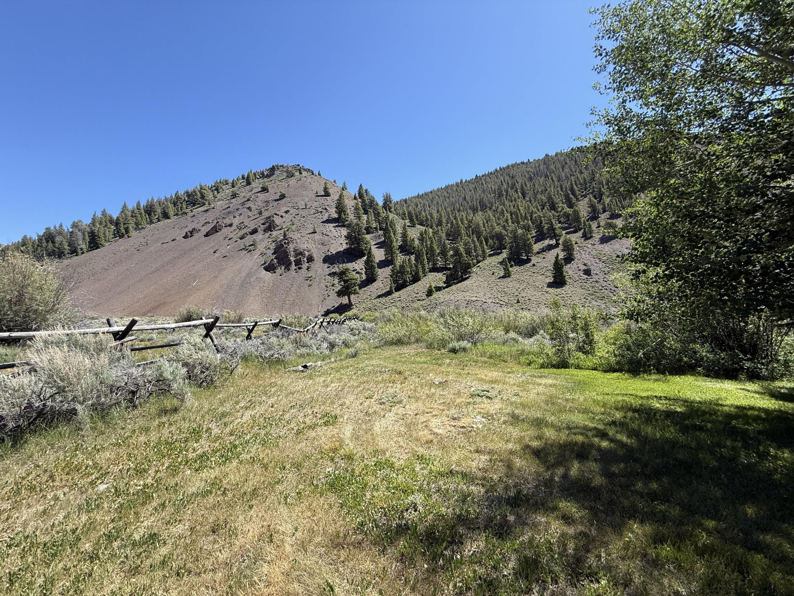 4299 North Fork Road Mackay, ID 83251 - Photo 24 of 27 Backyard