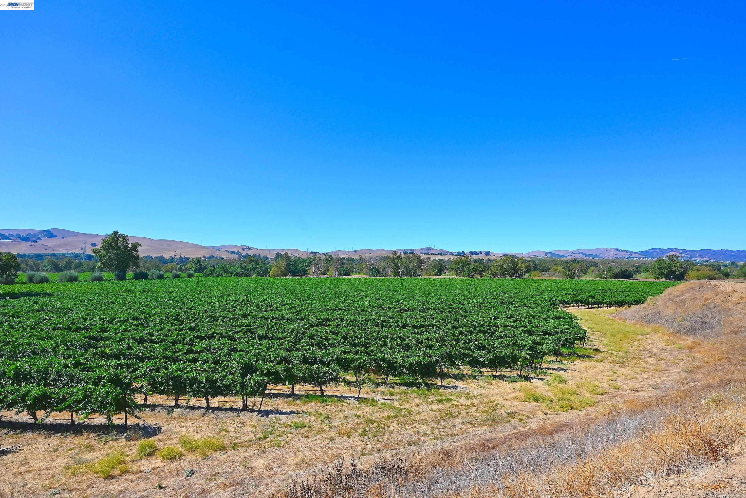 0 Arroyo Road Livermore, CA 94550 - Photo 13 of 31 Gallery Image 13