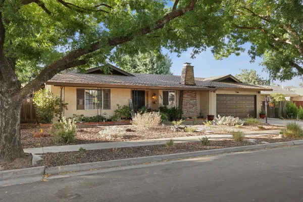 a front view of a house with a tree and yard