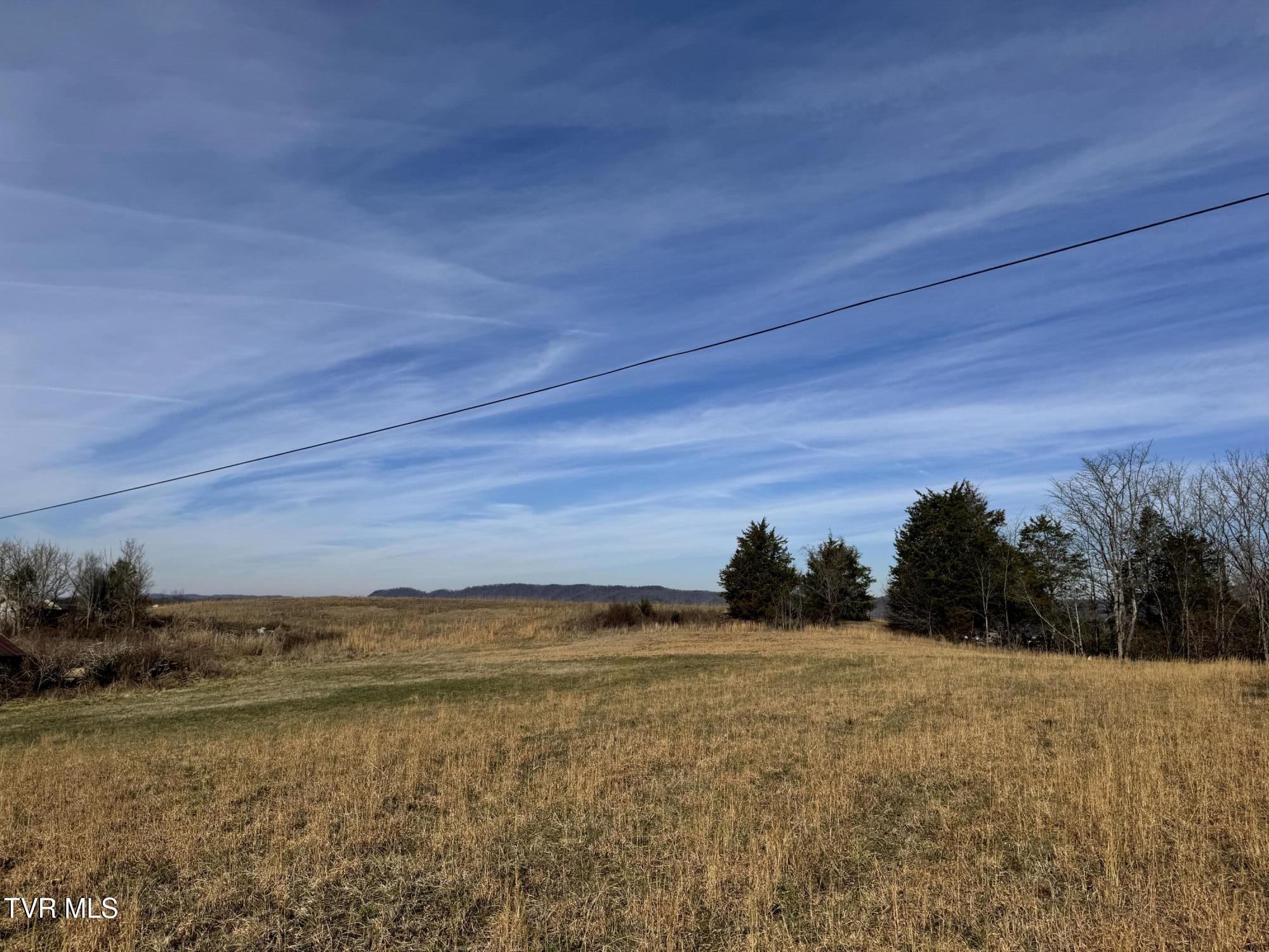 0 Wilkerson Road Mosheim, TN 37818 - Photo 16 of 20 IMG_2703