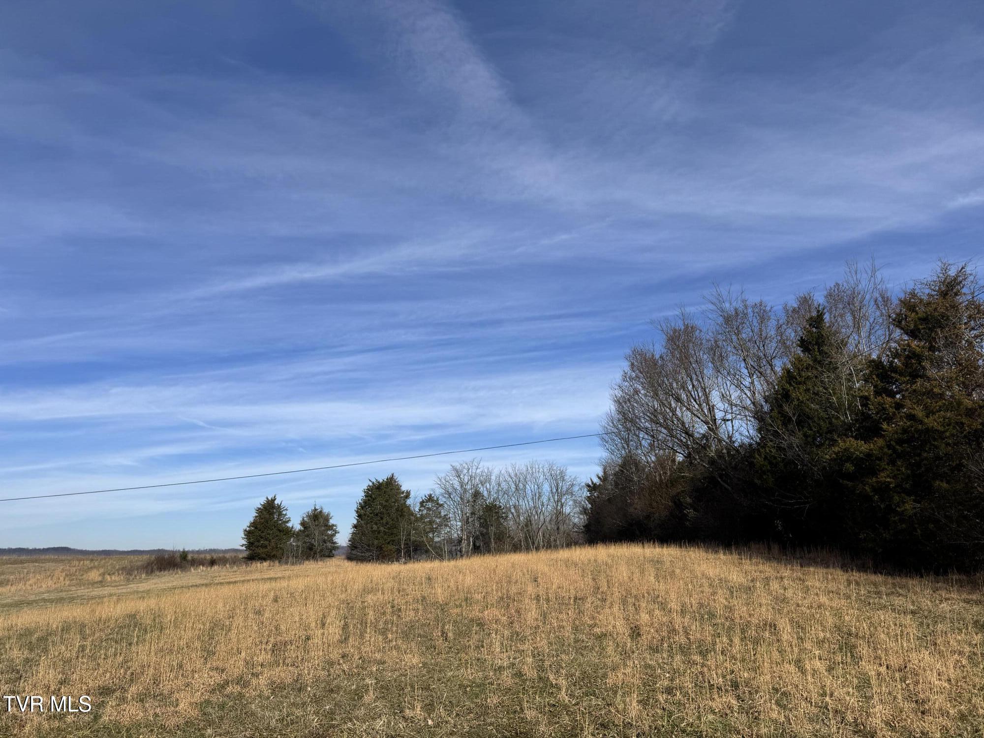 0 Wilkerson Road Mosheim, TN 37818 - Photo 17 of 20 IMG_2702