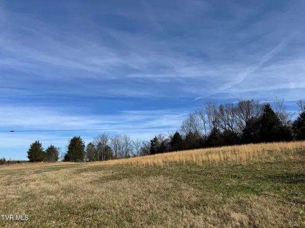 $259,000 | 0 Wilkerson Road, Mosheim, TN 37818