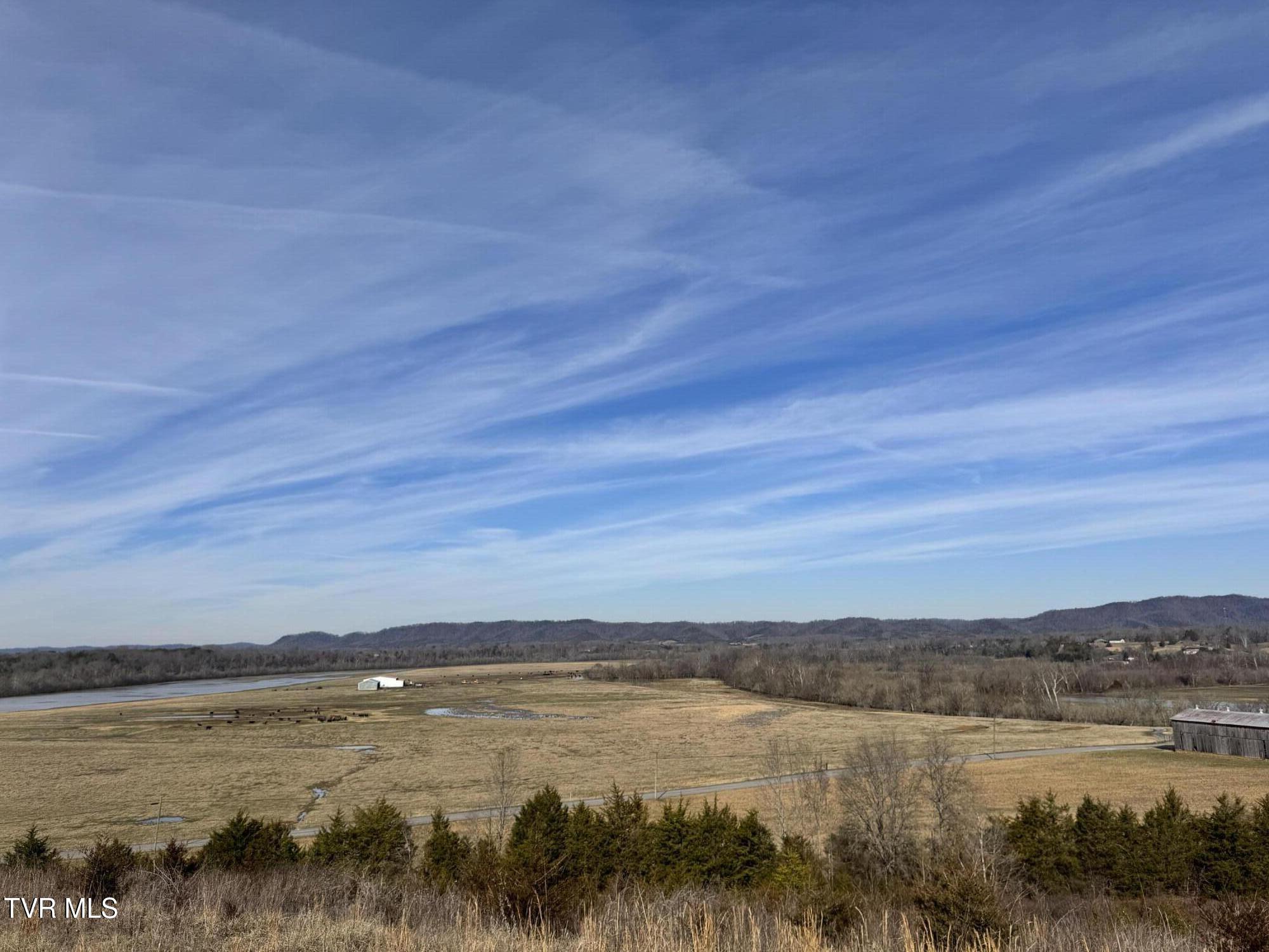 0 Wilkerson Road Mosheim, TN 37818 - Photo 2 of 20 IMG_2719