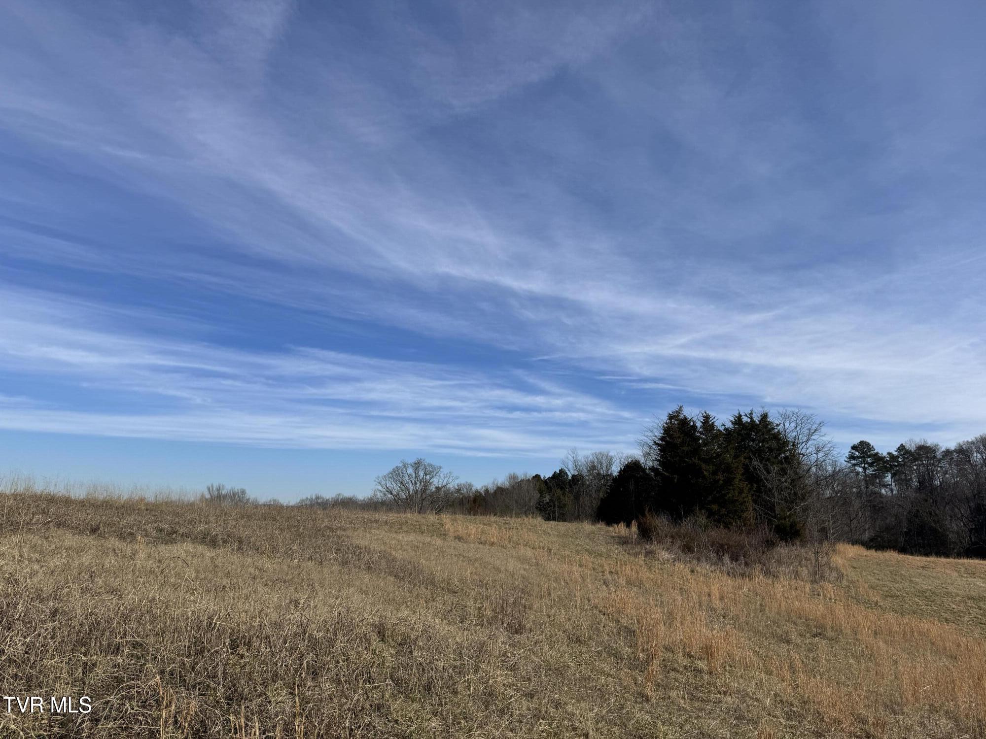 0 Wilkerson Road Mosheim, TN 37818 - Photo 7 of 20 IMG_2712