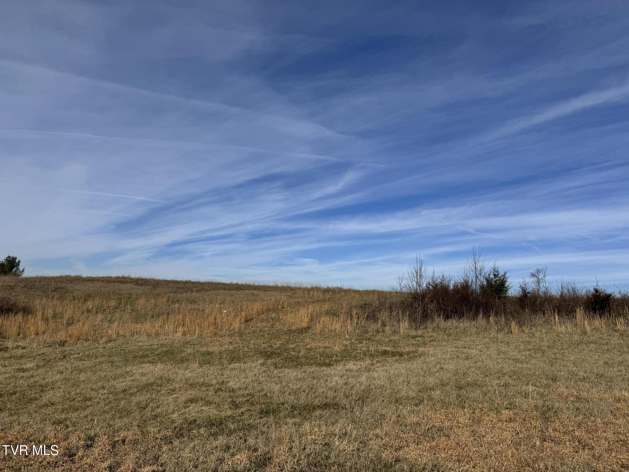 0 Wilkerson Road Mosheim, TN 37818 - Photo 10 of 20 IMG_2709