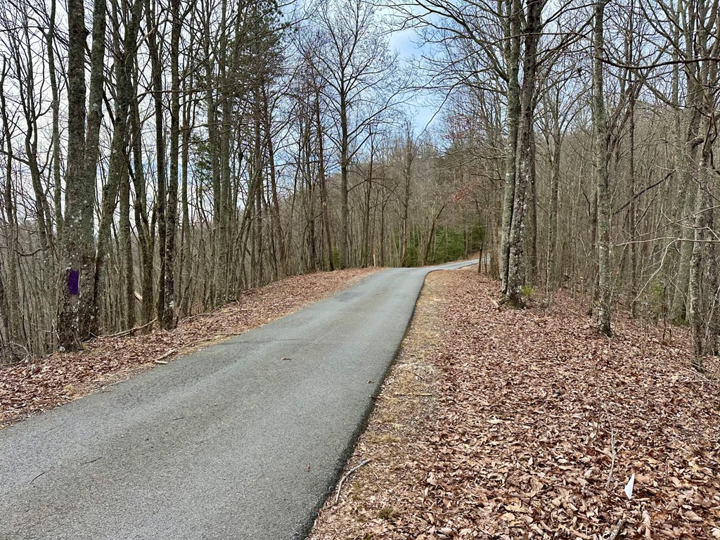 Lot 5 Mason Road Brasstown, NC 28902 - Photo 2 of 11 Gallery Image 2