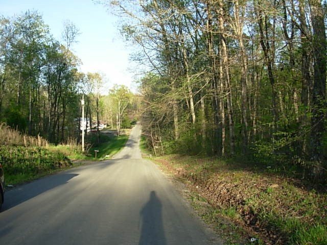 0 Peck Lane Decatur, TN 37322 - Photo 3 of 4 Gallery Image 3
