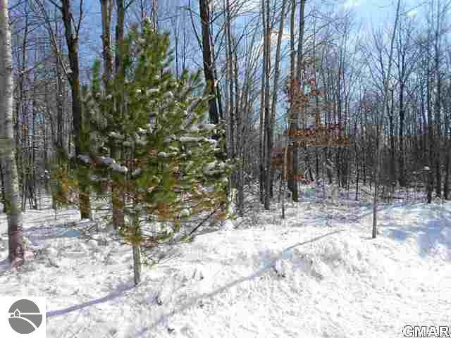 Tbd North Mason Road Wheeler, MI 48662 - Photo 6 of 12 1764885-5.JPG