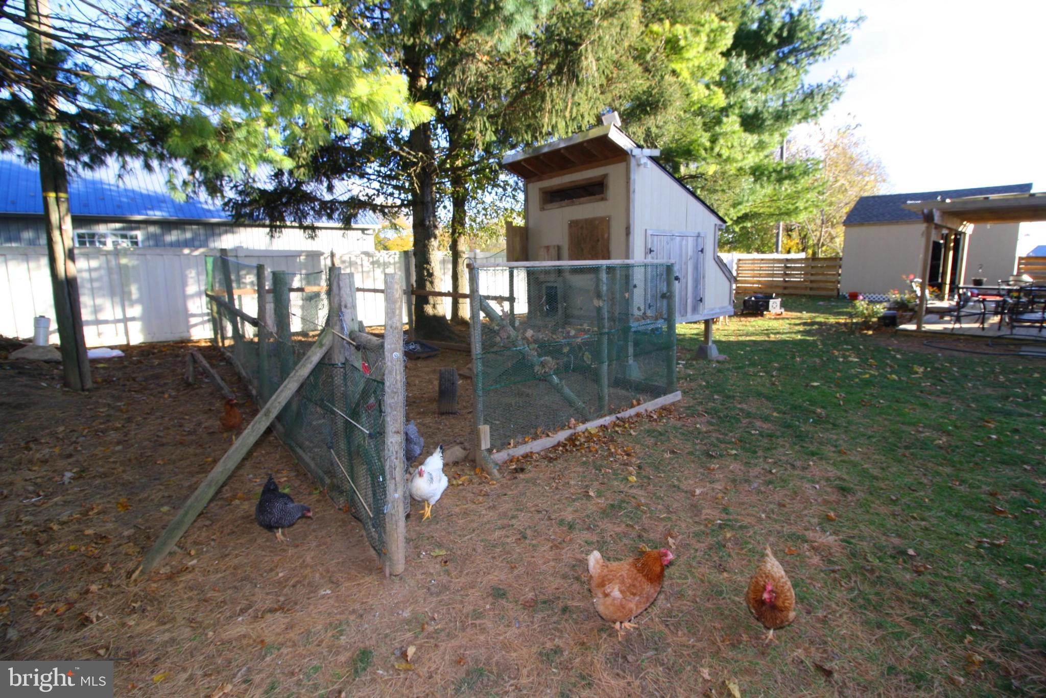 81 Davis Road New Park, PA 17352 - Photo 43 of 45 Chicken Coop