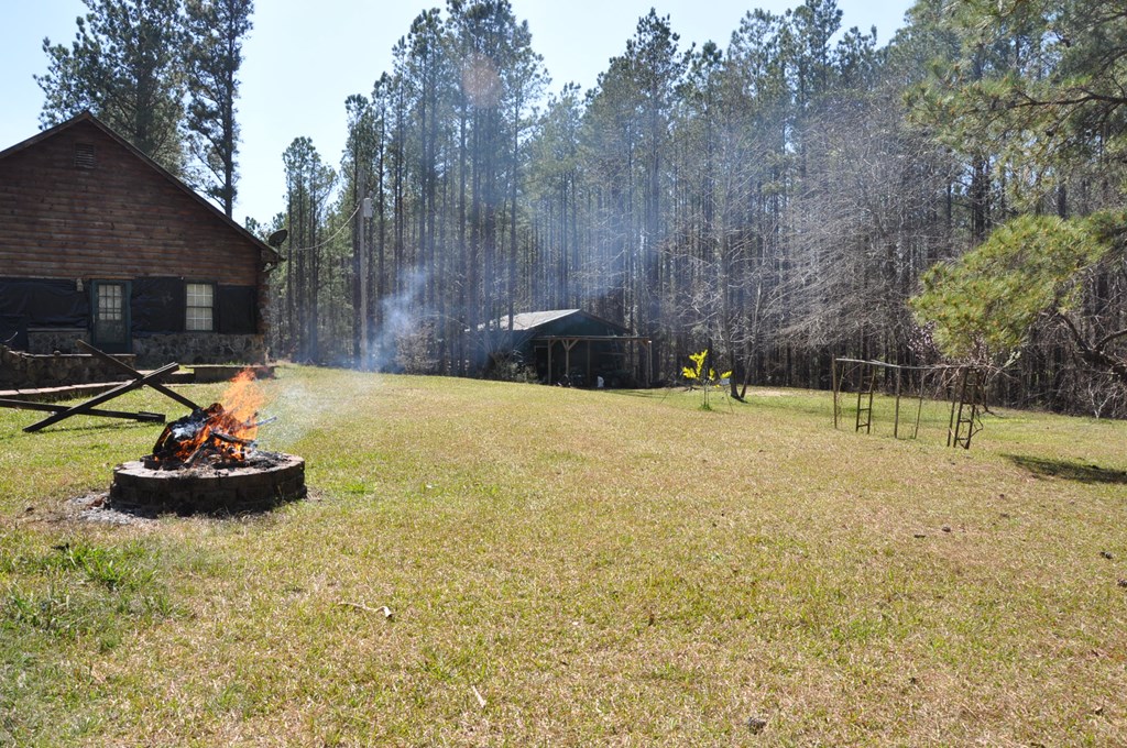 478 Glennbridge Road Hatchechubbee, AL 36858 - Photo 11 of 26