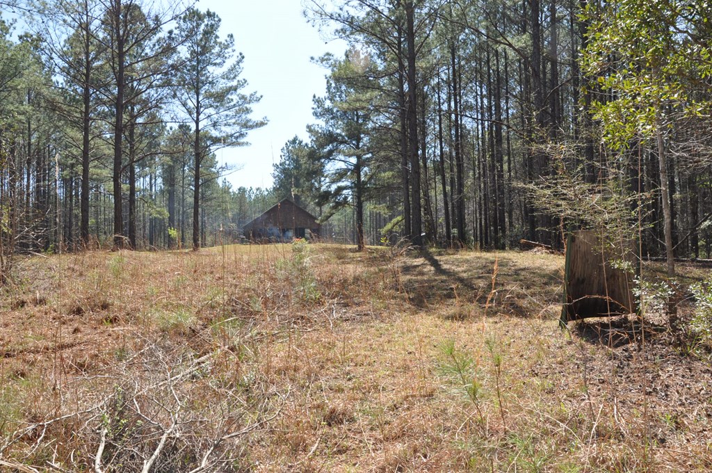 478 Glennbridge Road Hatchechubbee, AL 36858 - Photo 13 of 26