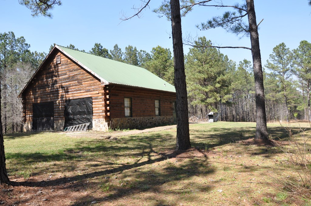 478 Glennbridge Road Hatchechubbee, AL 36858 - Photo 3 of 26