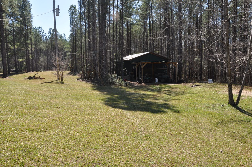 478 Glennbridge Road Hatchechubbee, AL 36858 - Photo 8 of 26 Shop 20 X 30