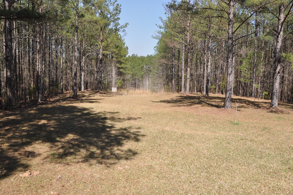 478 Glennbridge Road Hatchechubbee, AL 36858 - Photo 9 of 26 View from the patio