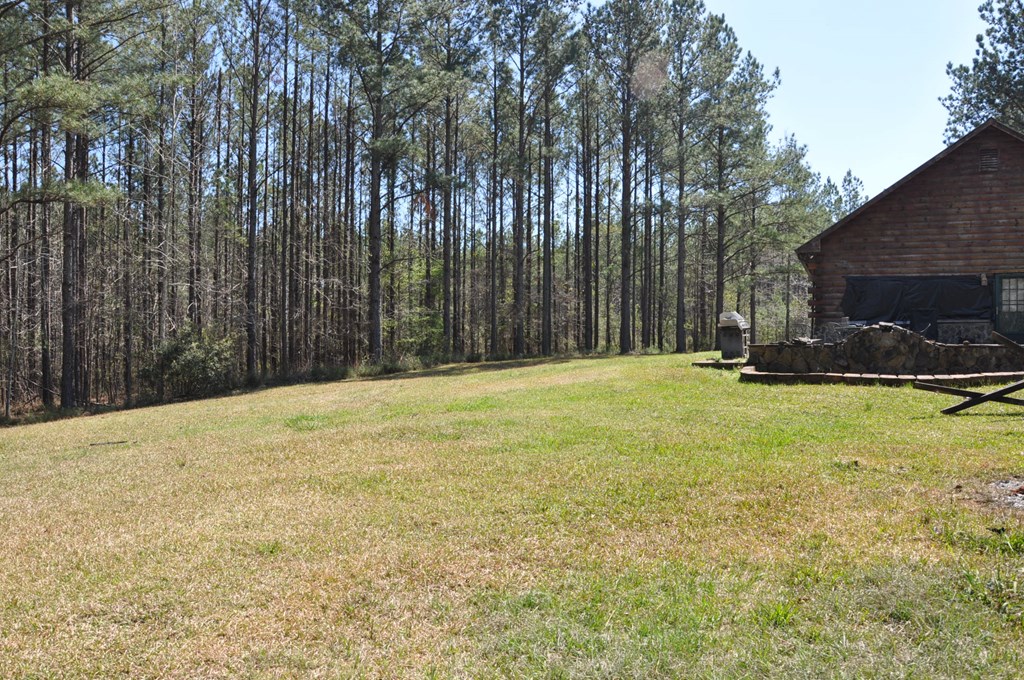 478 Glennbridge Road Hatchechubbee, AL 36858 - Photo 10 of 26