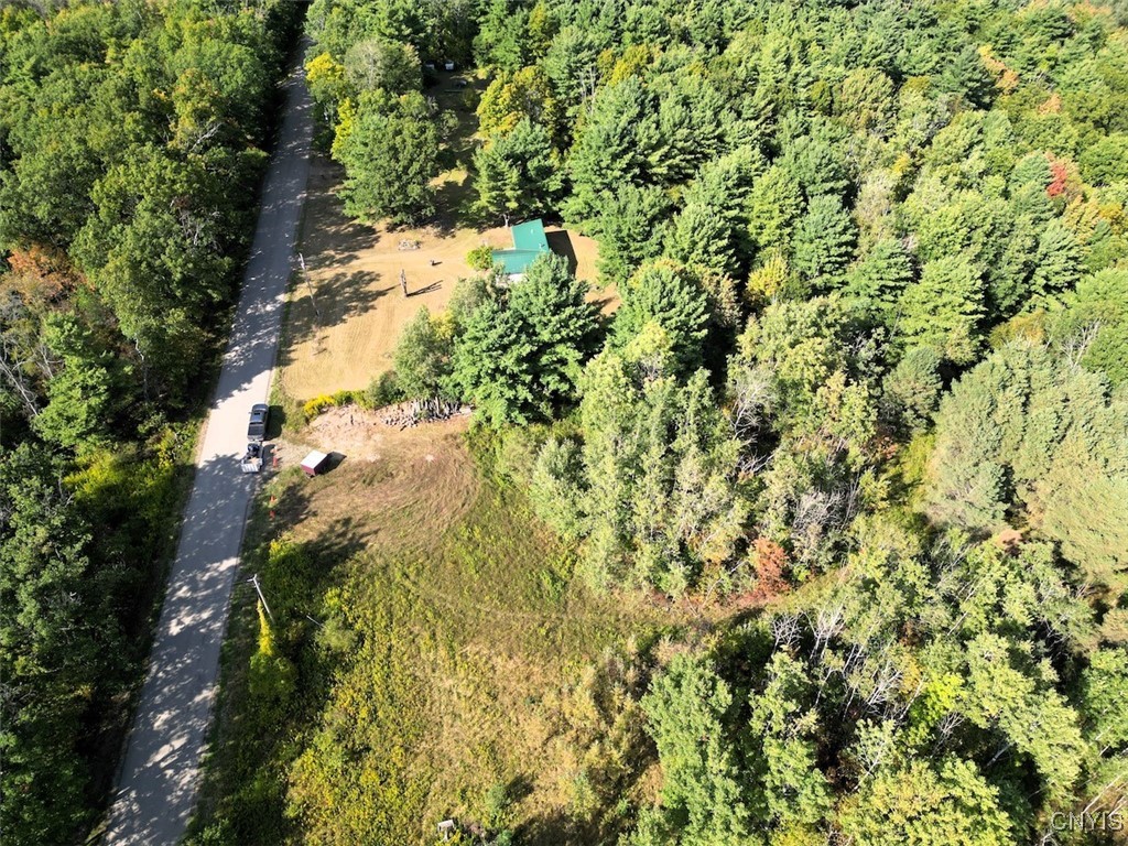 7250 Chrisler Road Bath, NY 14879 - Photo 2 of 43