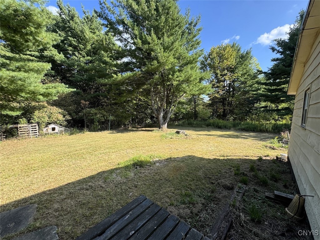 7250 Chrisler Road Bath, NY 14879 - Photo 24 of 43