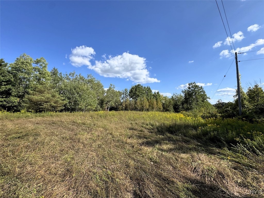 7250 Chrisler Road Bath, NY 14879 - Photo 25 of 43