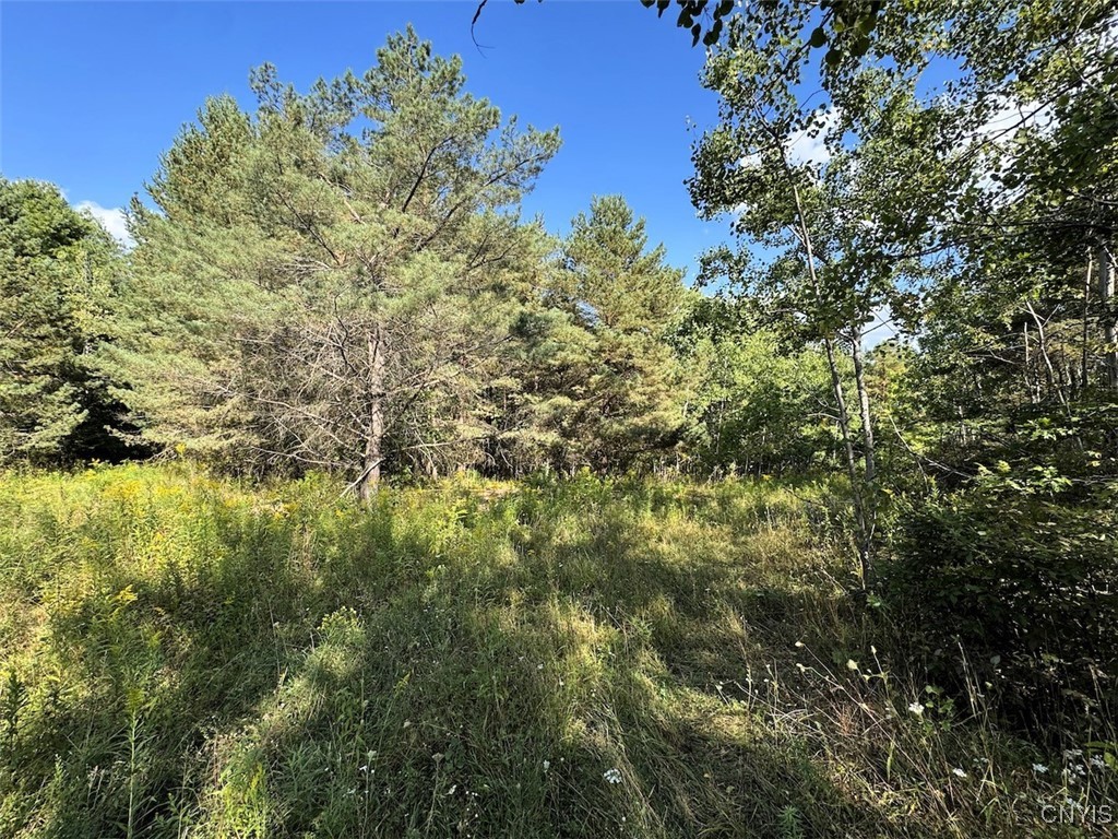 7250 Chrisler Road Bath, NY 14879 - Photo 27 of 43