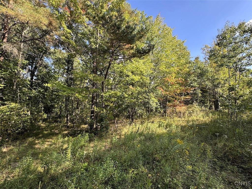 7250 Chrisler Road Bath, NY 14879 - Photo 28 of 43