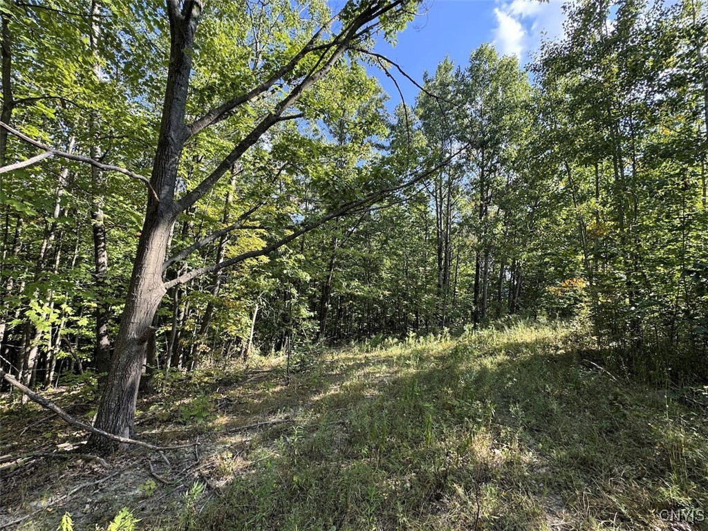 7250 Chrisler Road Bath, NY 14879 - Photo 29 of 43