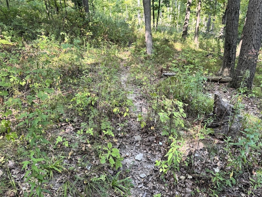 7250 Chrisler Road Bath, NY 14879 - Photo 30 of 43