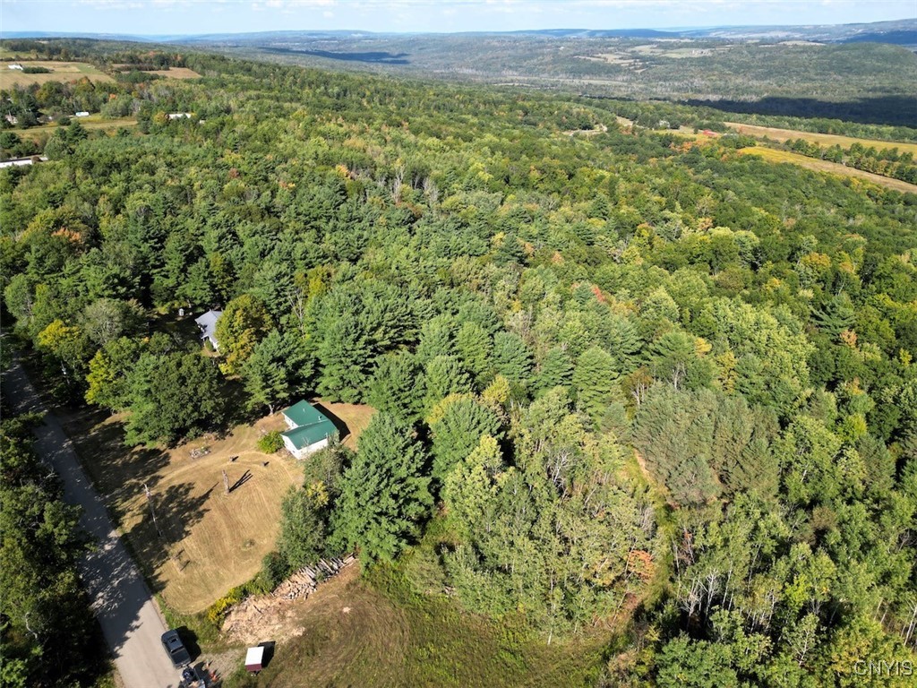 7250 Chrisler Road Bath, NY 14879 - Photo 3 of 43