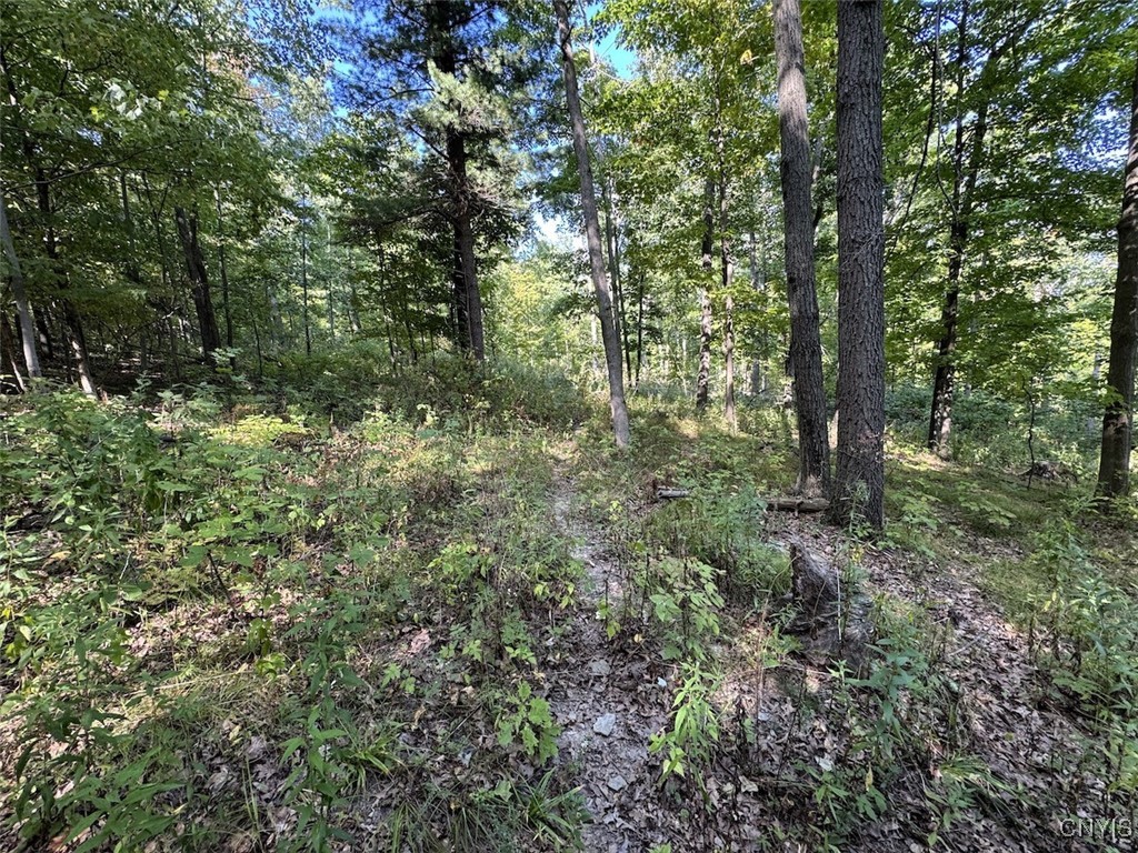 7250 Chrisler Road Bath, NY 14879 - Photo 31 of 43