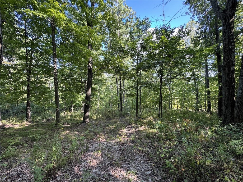 7250 Chrisler Road Bath, NY 14879 - Photo 32 of 43