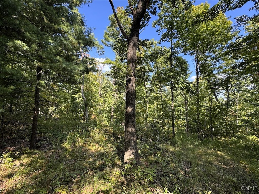 7250 Chrisler Road Bath, NY 14879 - Photo 34 of 43