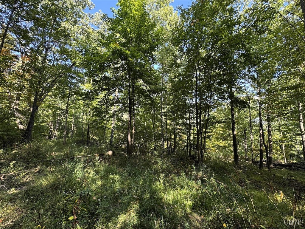 7250 Chrisler Road Bath, NY 14879 - Photo 35 of 43