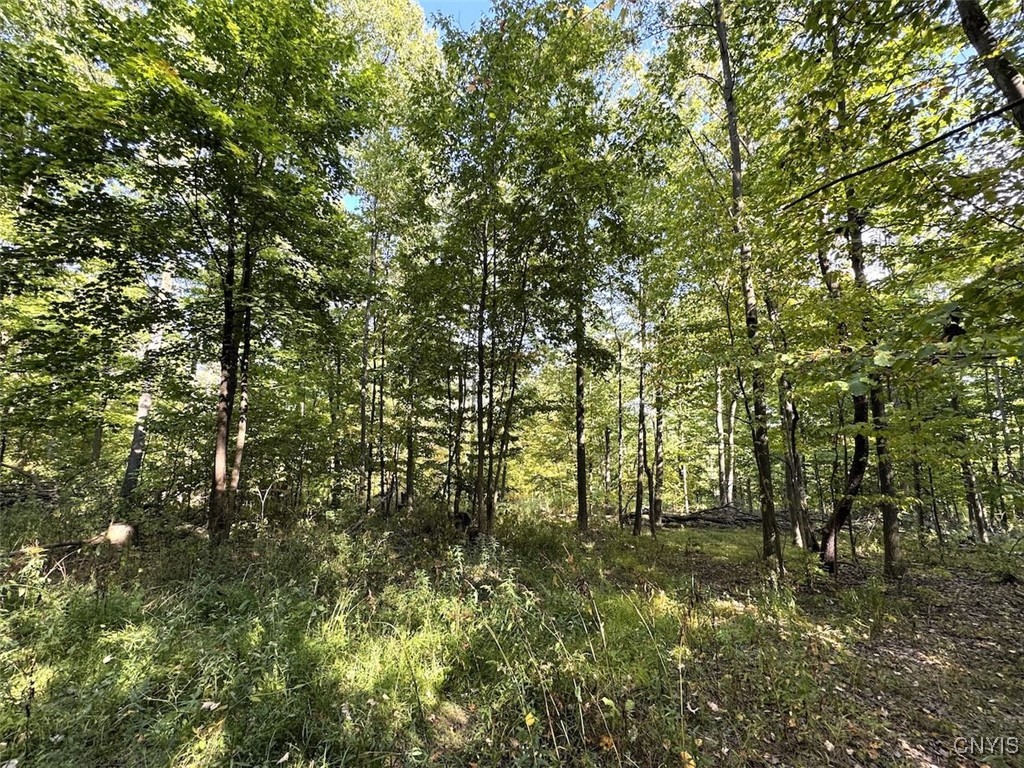 7250 Chrisler Road Bath, NY 14879 - Photo 36 of 43