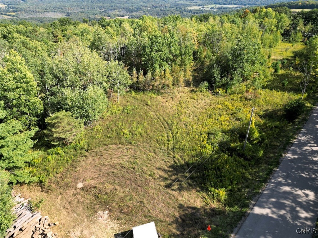 7250 Chrisler Road Bath, NY 14879 - Photo 39 of 43