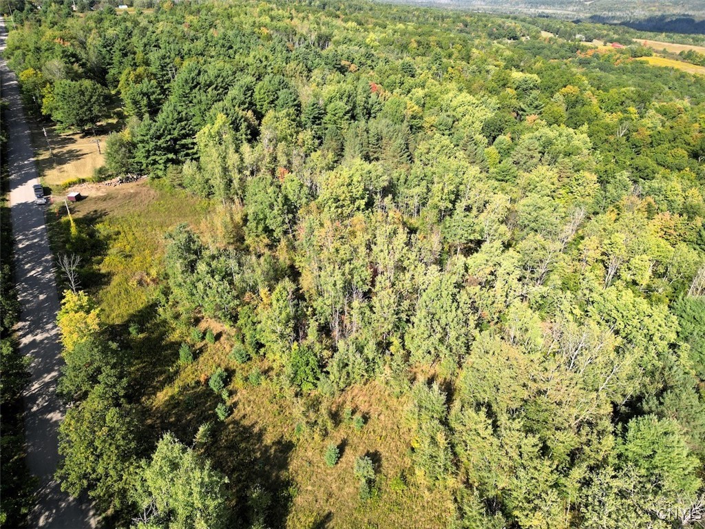 7250 Chrisler Road Bath, NY 14879 - Photo 41 of 43