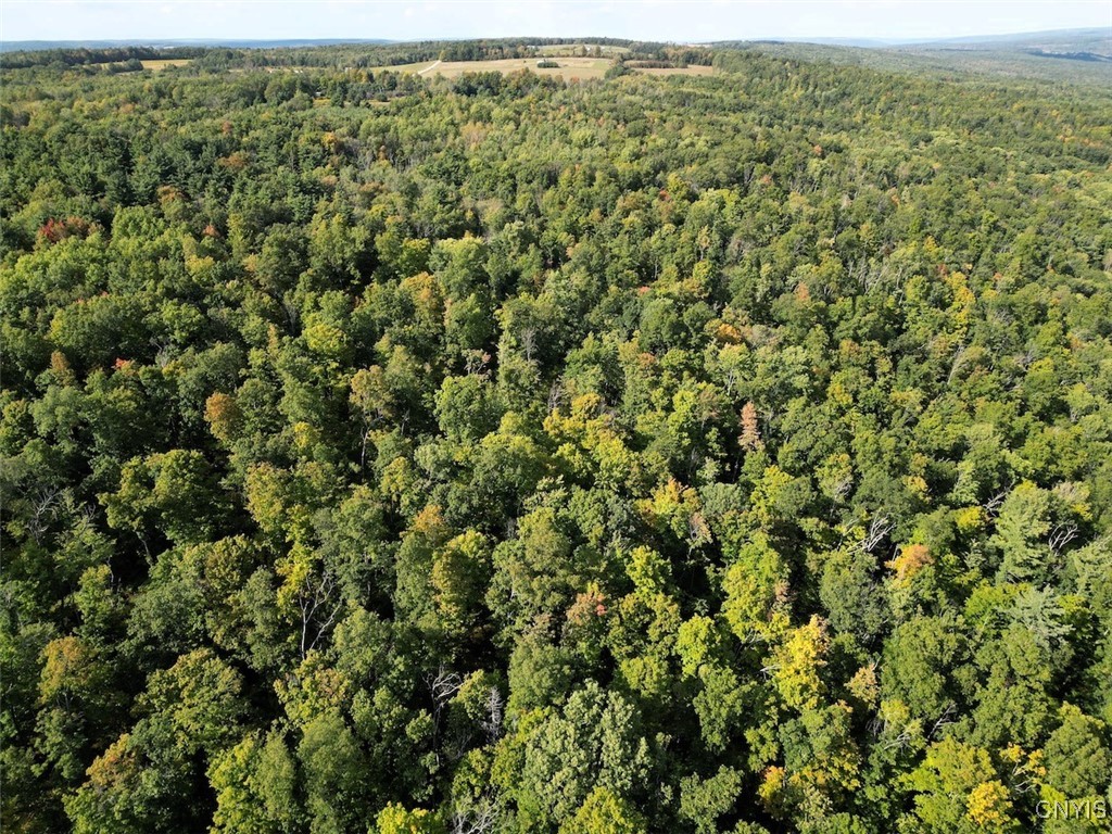 7250 Chrisler Road Bath, NY 14879 - Photo 42 of 43