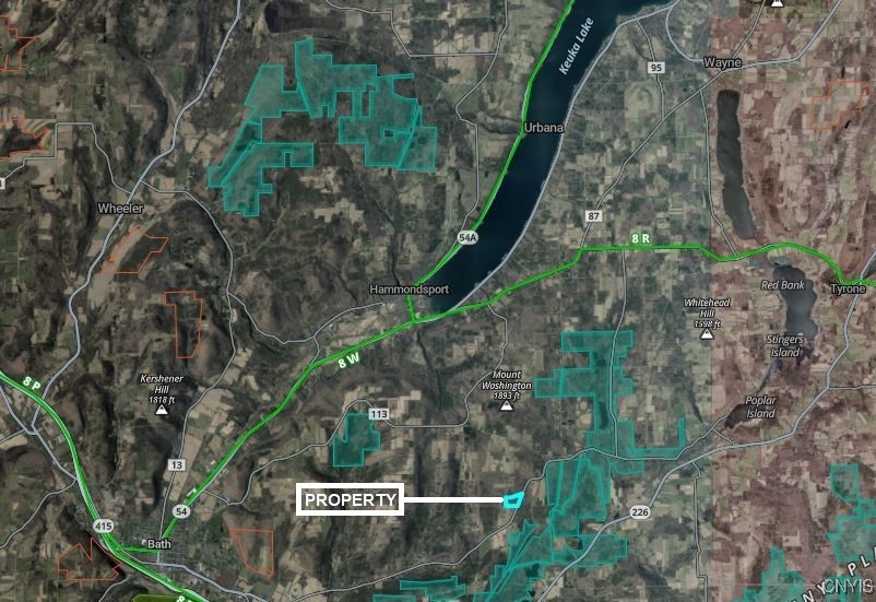 7250 Chrisler Road Bath, NY 14879 - Photo 43 of 43