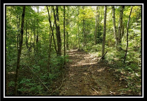 0 Pedigo Ridge Road, Unit TRACT 2) New Marshfield, OH 45766 - Photo 73 of 77 image073
