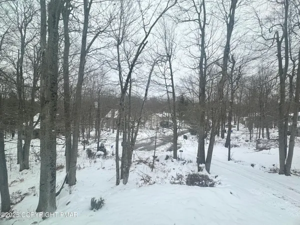 a view of a yard covered in snow