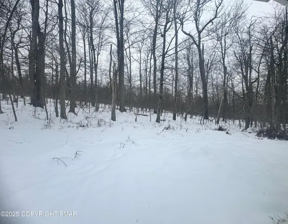 a view of outdoor space with a yard