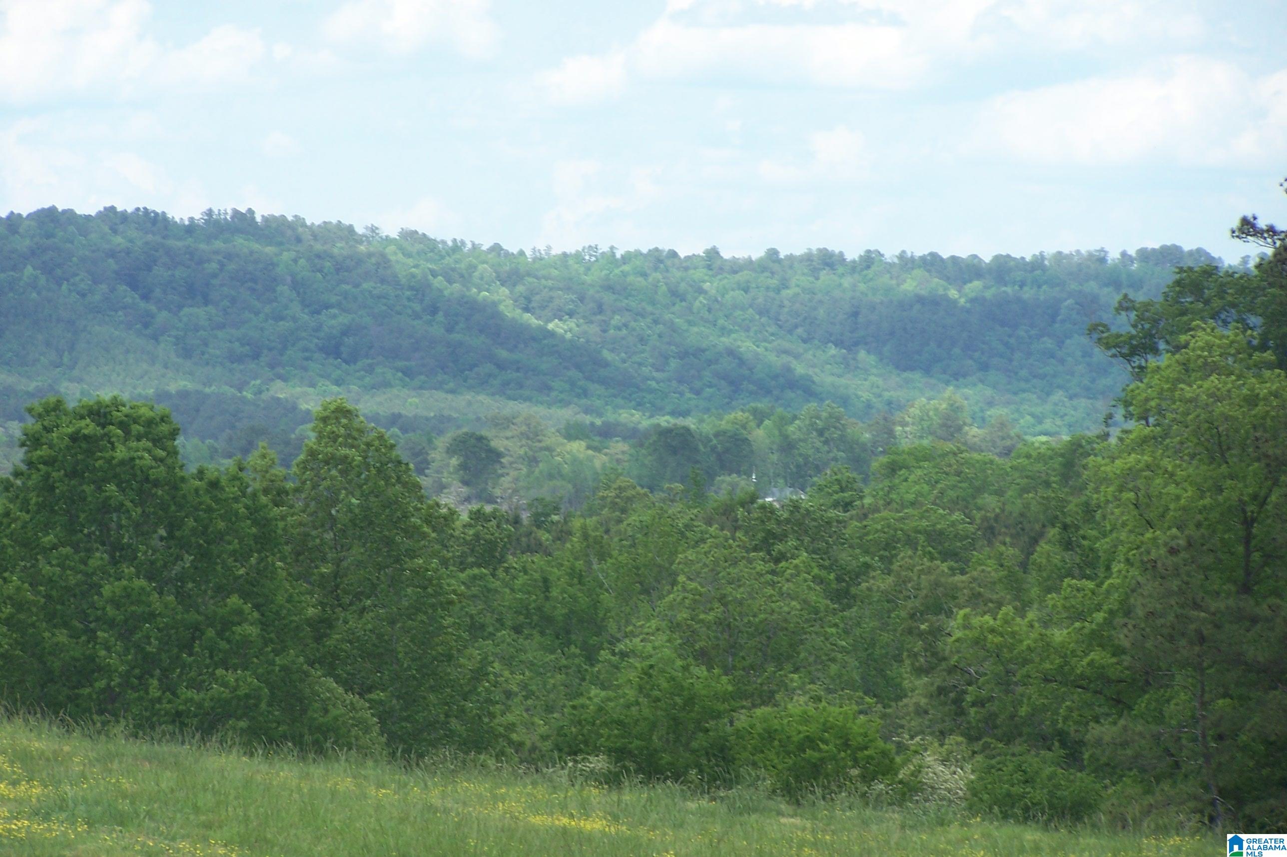 Burton Loop Road Altoona, AL 35952 - Photo 4 of 29 Gallery Image 4