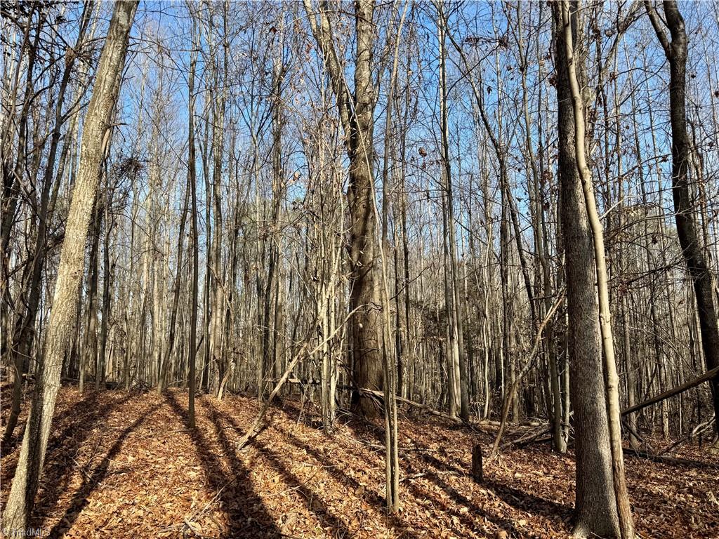 0 Asbury Road Seagrove, NC 27341 - Photo 13 of 40