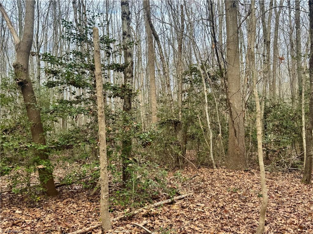 0 Asbury Road Seagrove, NC 27341 - Photo 15 of 40