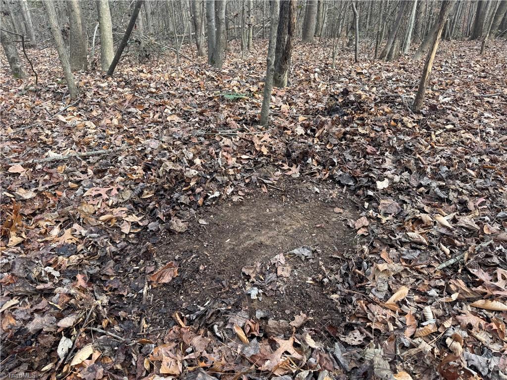 0 Asbury Road Seagrove, NC 27341 - Photo 17 of 40 Deer scrape noted near a rub line.