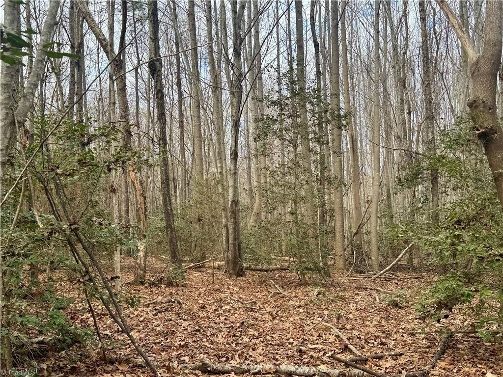 0 Asbury Road Seagrove, NC 27341 - Photo 19 of 40