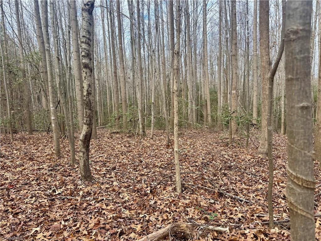 0 Asbury Road Seagrove, NC 27341 - Photo 20 of 40