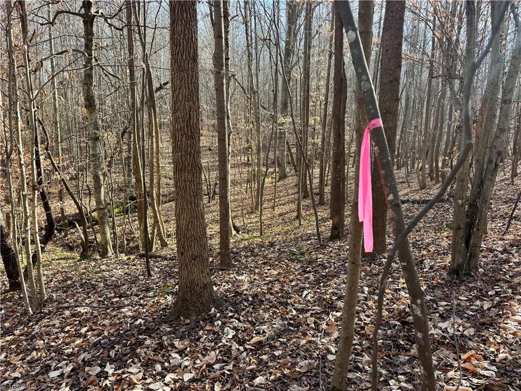 0 Asbury Road Seagrove, NC 27341 - Photo 2 of 40 Fresh survey on file- tape easy to see