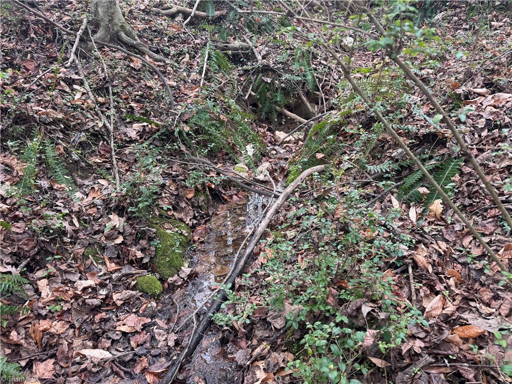 0 Asbury Road Seagrove, NC 27341 - Photo 21 of 40