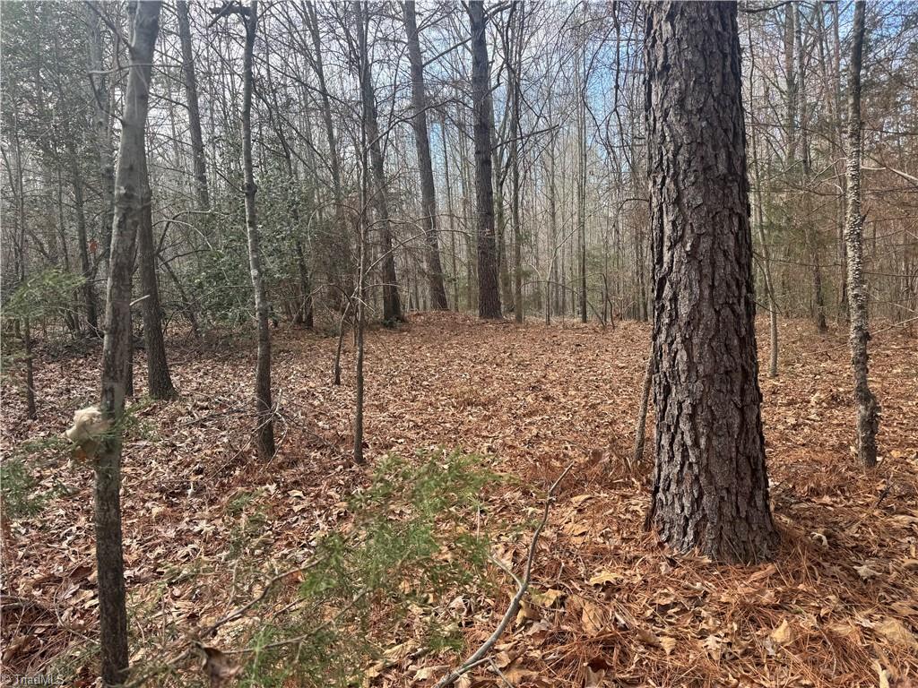 0 Asbury Road Seagrove, NC 27341 - Photo 23 of 40