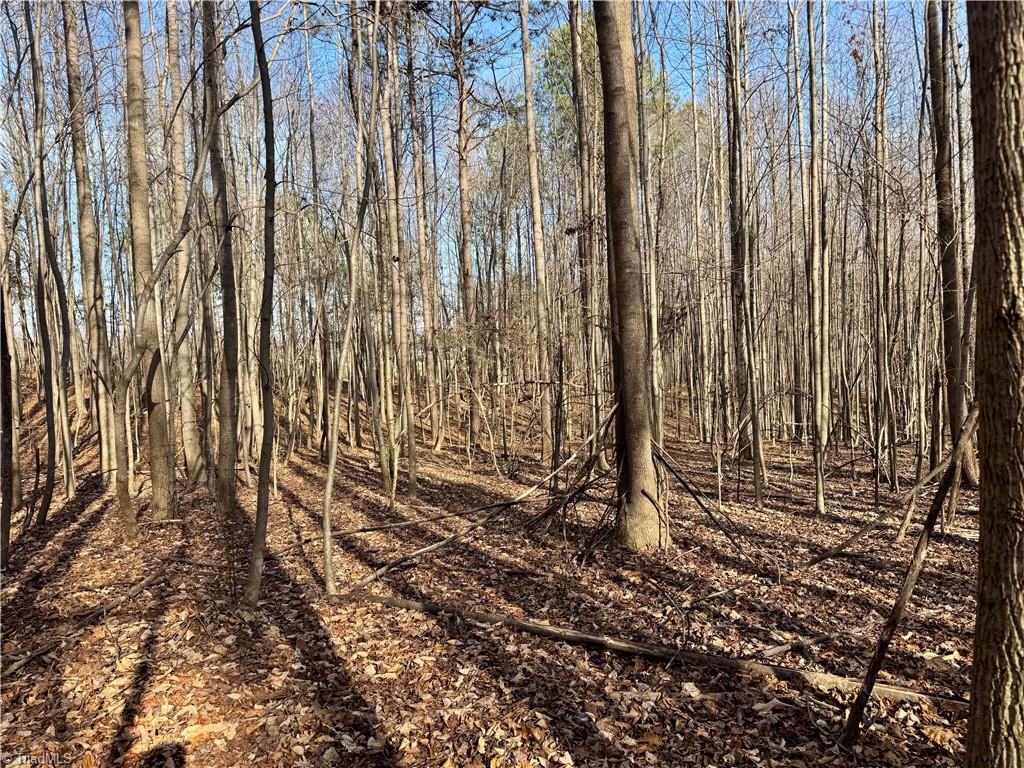 0 Asbury Road Seagrove, NC 27341 - Photo 24 of 40